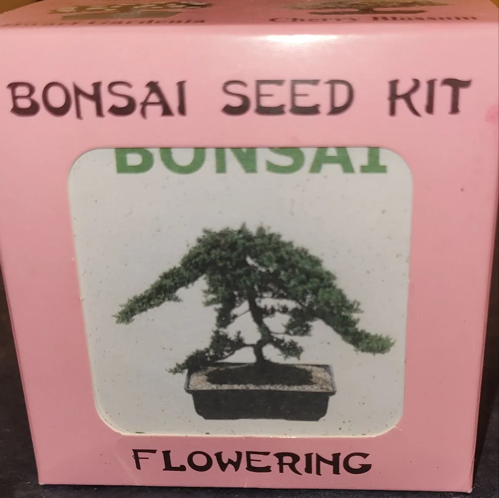 Jasmine Mini Bonsai Seed Kit